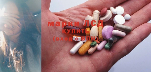 ПСИЛОЦИБИНОВЫЕ ГРИБЫ Новодвинск