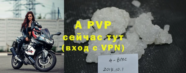 дживик Новокубанск