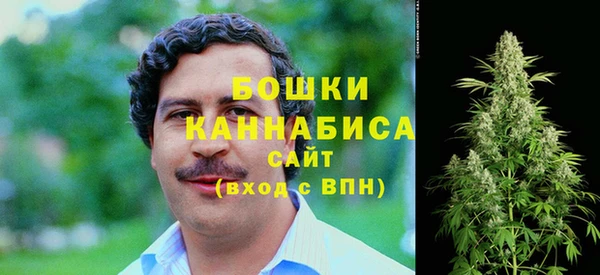дживик Новокубанск