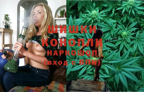 ПСИЛОЦИБИНОВЫЕ ГРИБЫ Новодвинск