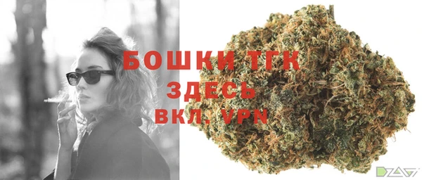 ПСИЛОЦИБИНОВЫЕ ГРИБЫ Новодвинск